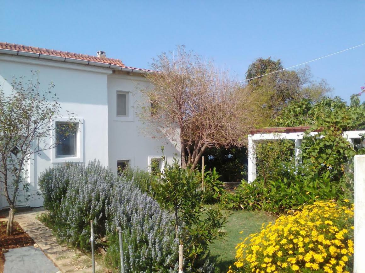 Apartments Lovor Silba Extérieur photo