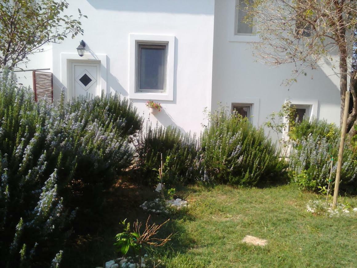 Apartments Lovor Silba Extérieur photo