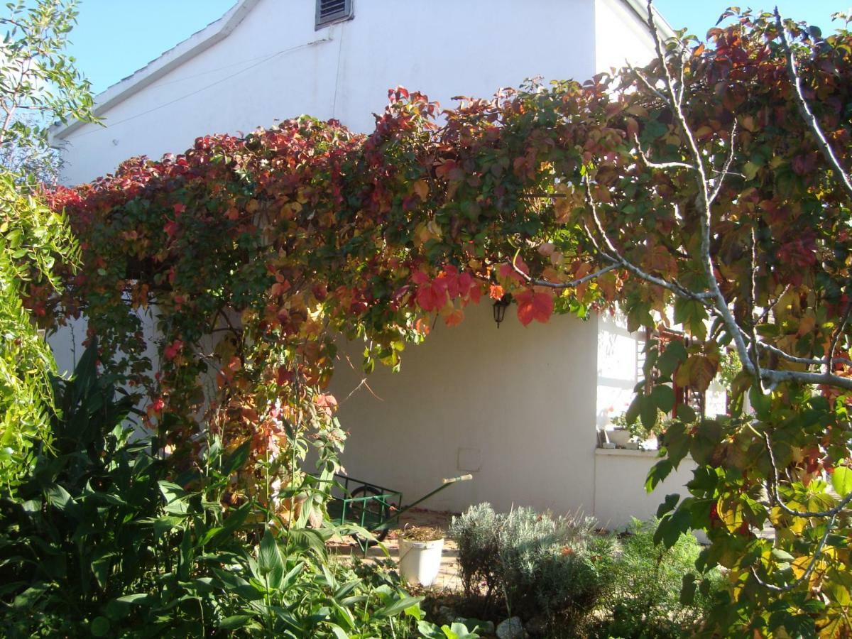 Apartments Lovor Silba Extérieur photo