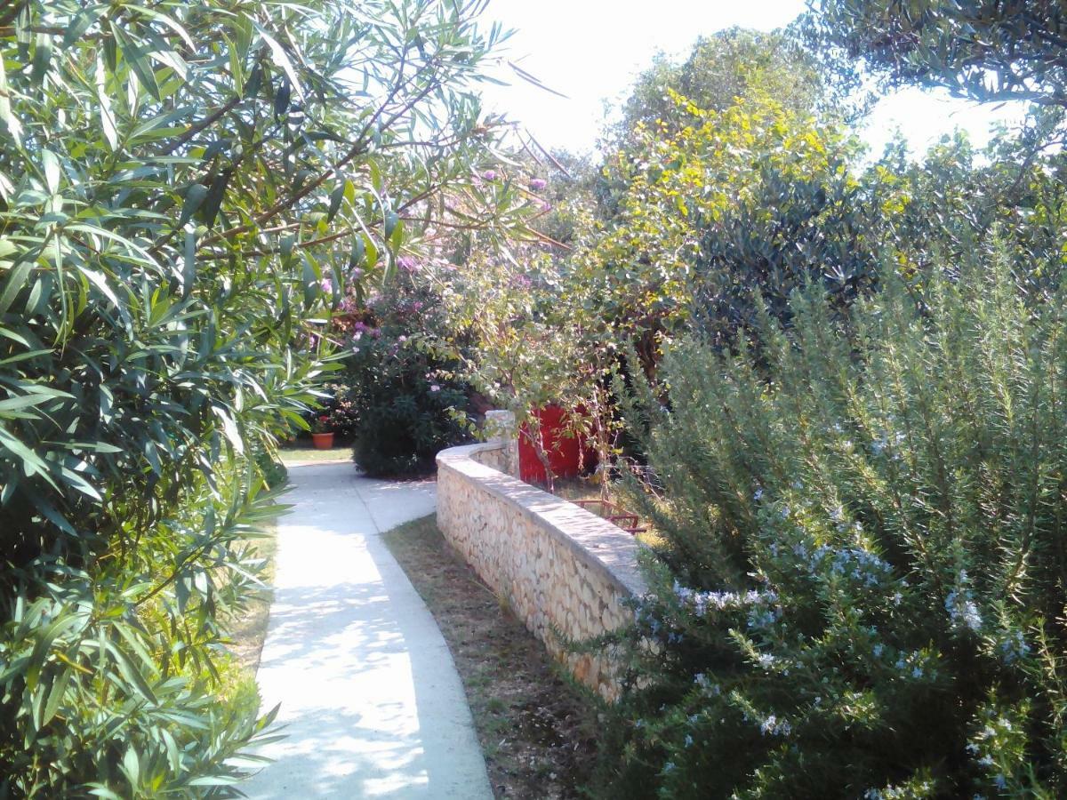 Apartments Lovor Silba Extérieur photo