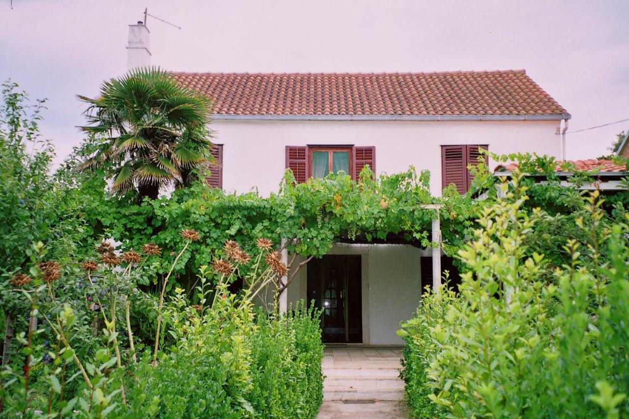 Apartments Lovor Silba Extérieur photo